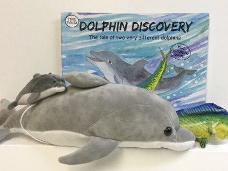 Dolphin Discovery Gift Set Cheap