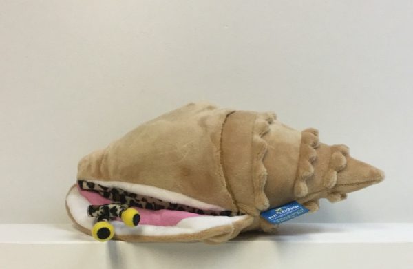 Calypso the Queen Conch Pocket Puppet For Cheap