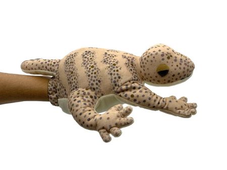 Gink Gecko Plush Toy with puppet pocket For Sale