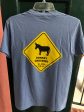 Donkey Crossing St. John Tee Shirt for adults Online Sale