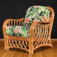 Spice Islands Montego Bay Arm Chair Cinnamon on Sale