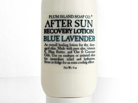 After Sun Recovery Lotion Online Hot Sale