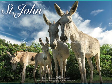 2025 St. John Calendar by Steve Simonsen Online