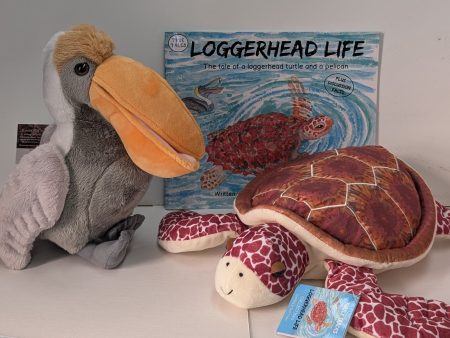 Loggerhead Life Gift Set Cheap