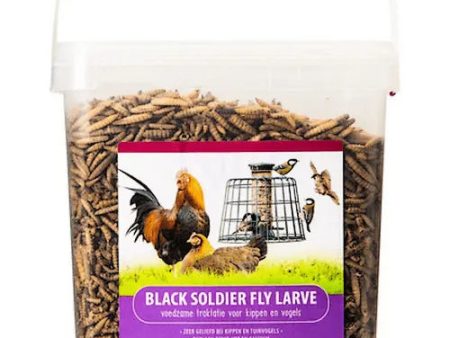 Voerwaarts Black Soldier Fly (aanvullend diervoeder) Hot on Sale