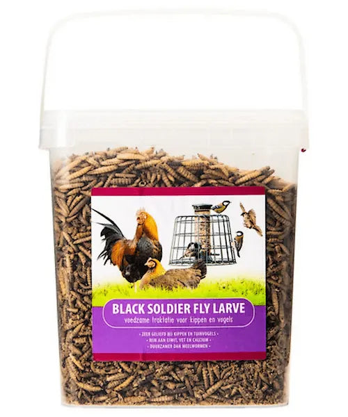 Voerwaarts Black Soldier Fly (aanvullend diervoeder) Hot on Sale