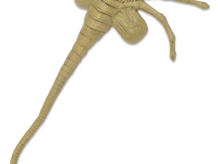 Alien: Facehugger Life Size Foam Replica Sale