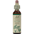 Walnut Flower Essence on Sale