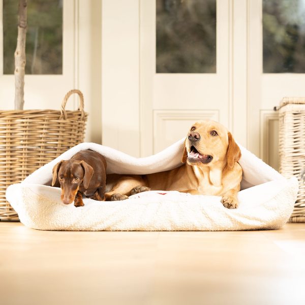 Valentines Edition Sleepy Burrows Bed by Lords & Labradors Hot on Sale