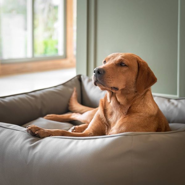 Box Bed With Removable Covers in Rhino Tough Camel Faux Leather by Lords & Labradors Sale