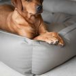 Box Bed With Removable Covers in Rhino Tough Camel Faux Leather by Lords & Labradors Sale