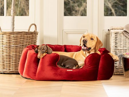 Valentines Edition High Wall Bed For Dogs by Lords & Labradors Online Hot Sale