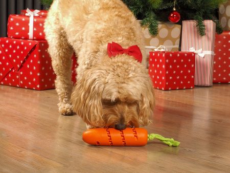 Zoon Carrot Treat Dispenser Christmas Toy Cheap